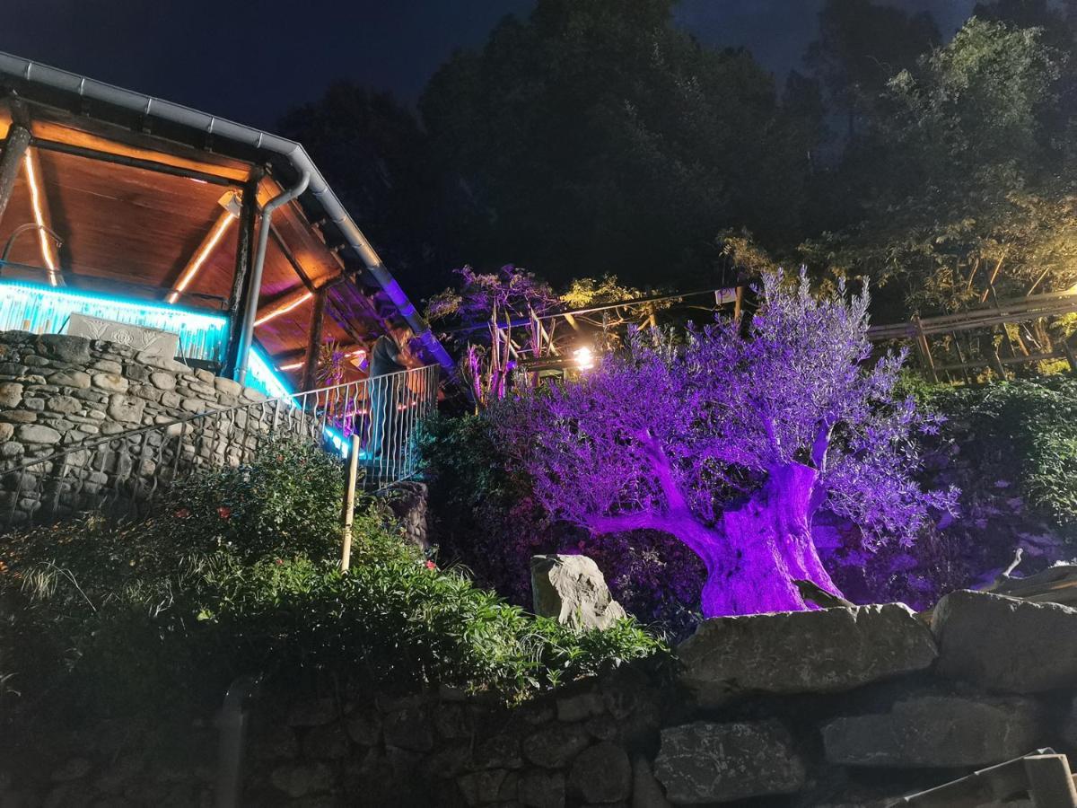 Le Moulin Du Temps -chambres Et Lounge Bar Au Bord De La Riviere Frühstückspension Corbés